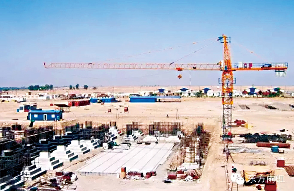 888�ڲ���-����Ϊ��,רҵЧ��