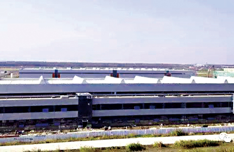 888�ڲ���-����Ϊ��,רҵ����