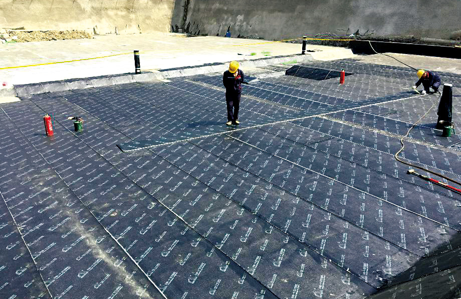 888�ڲ���-����Ϊ��,רҵЧ��