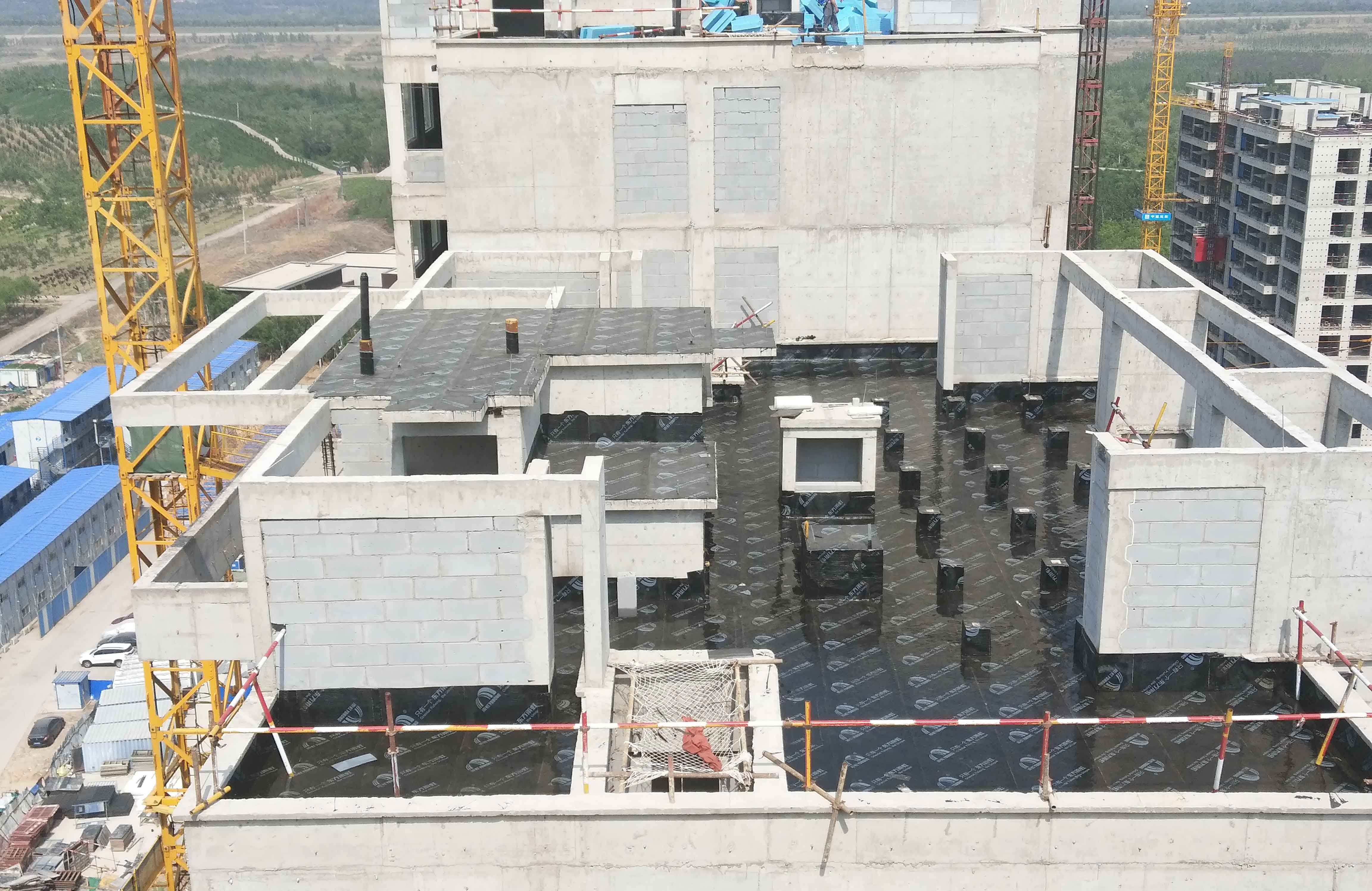 888�ڲ���-����Ϊ��,רҵЧ��