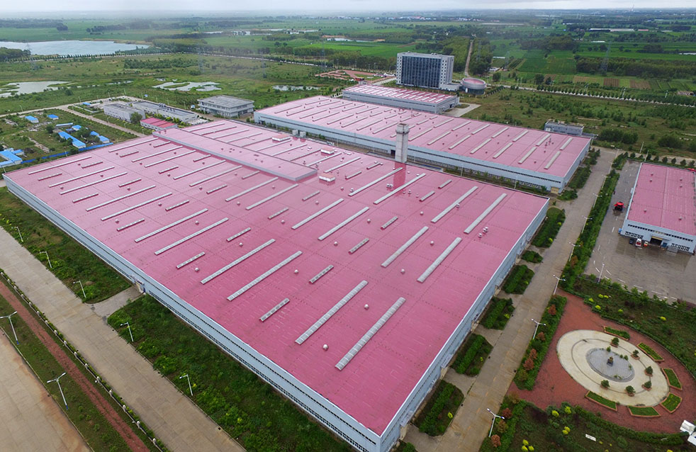 888�ڲ���-����Ϊ��,רҵ����