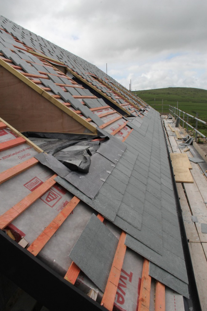 888�ڲ���-����Ϊ��,רҵЧ��