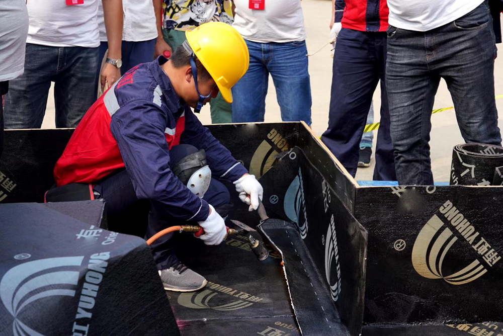 888�ڲ���-����Ϊ��,רҵЧ��