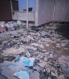 888�ڲ���-����Ϊ��,רҵЧ��