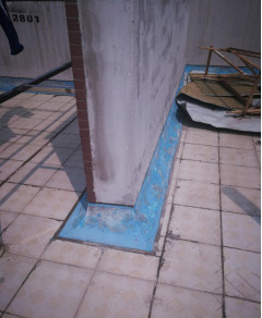 888�ڲ���-����Ϊ��,רҵЧ��