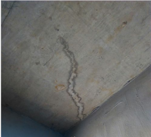 888�ڲ���-����Ϊ��,רҵЧ��