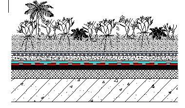 888�ڲ���-����Ϊ��,רҵЧ��