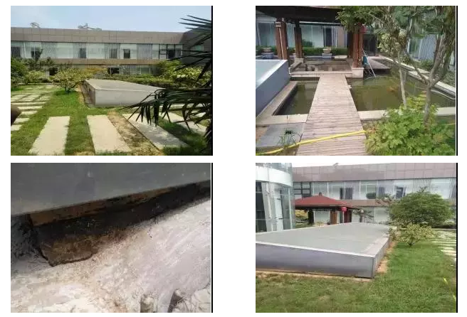 888�ڲ���-����Ϊ��,רҵЧ��