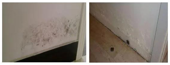 888�ڲ���-����Ϊ��,רҵЧ��