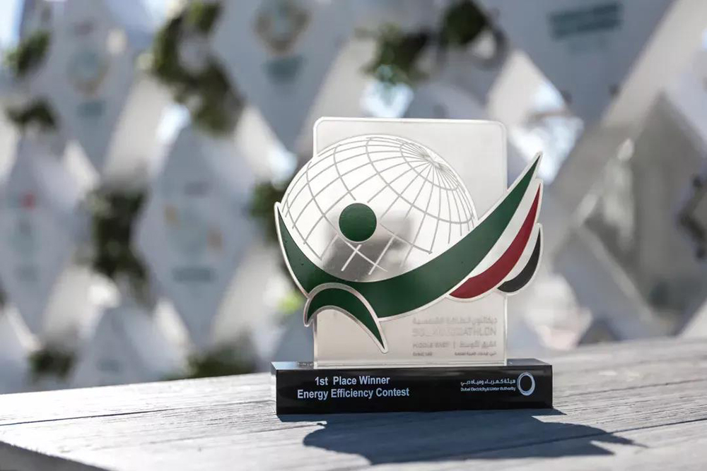 888�ڲ���-����Ϊ��,רҵЧ��