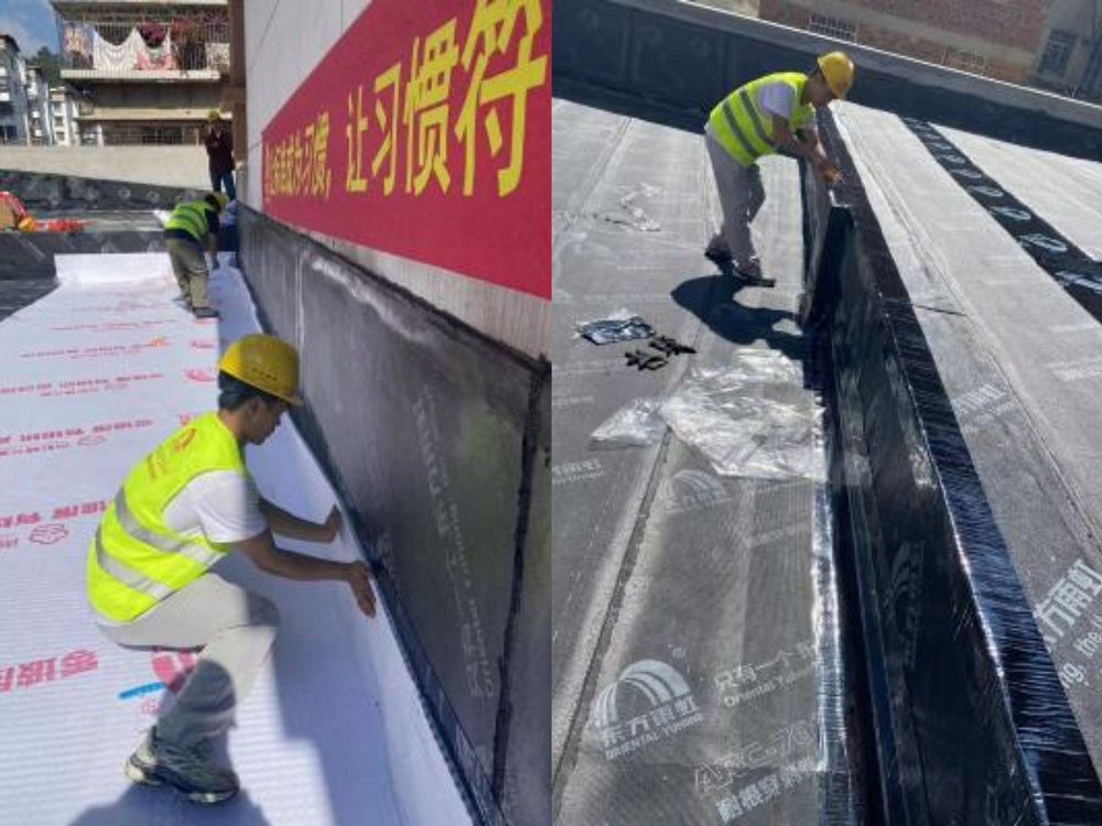 888�ڲ���-����Ϊ��,רҵЧ��