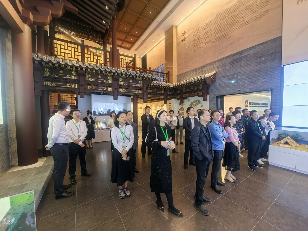 888�ڲ���-����Ϊ��,רҵЧ��