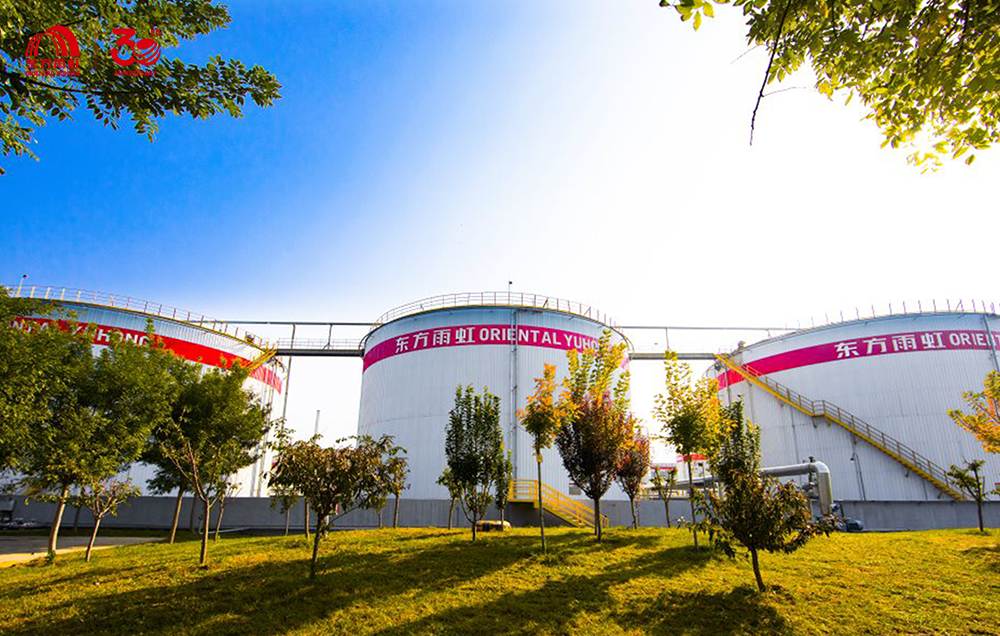 888�ڲ���-����Ϊ��,רҵ����